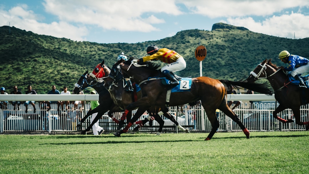 Photo horse racing