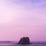 Photo purple color