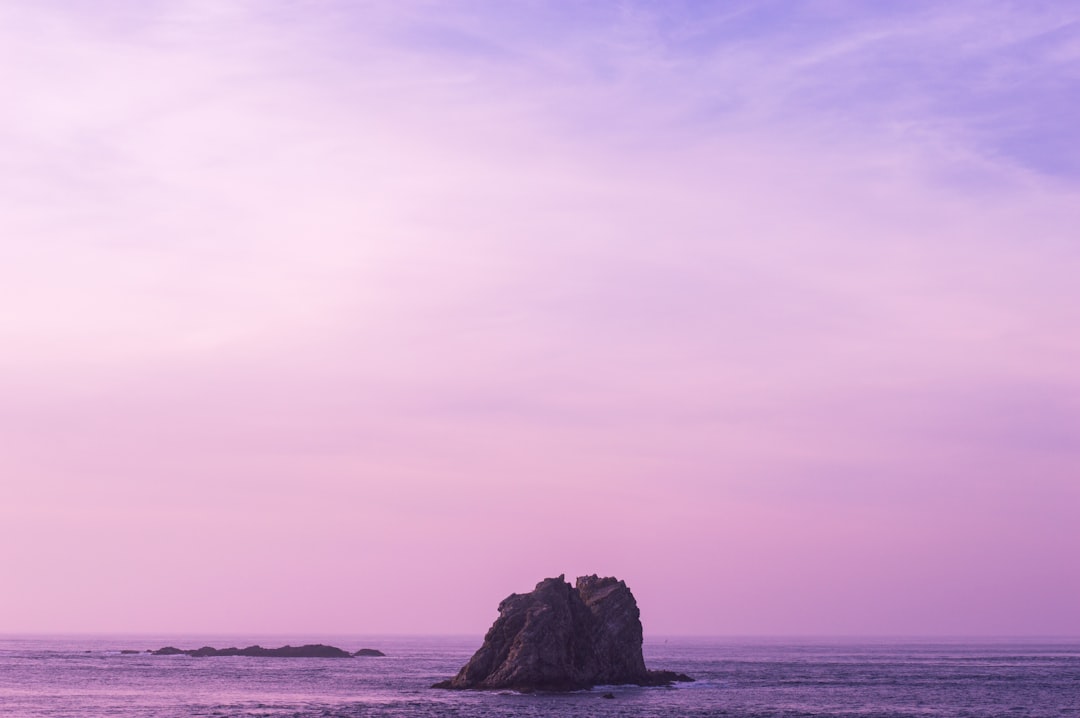 Photo purple color